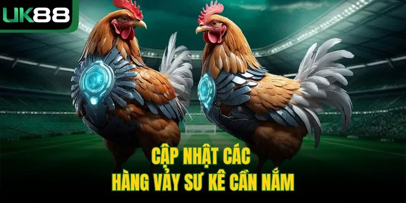 Cách Xem Vảy Gà Chọi | Bí Kíp Chọn Chiến Kê Từ Cao Thủ UK88 2 Cách Xem Vảy Gà Chọi | Bí Kíp Chọn Chiến Kê Từ Cao Thủ UK88