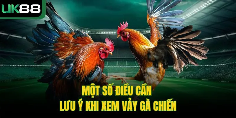 Cách Xem Vảy Gà Chọi | Bí Kíp Chọn Chiến Kê Từ Cao Thủ UK88 4 Cách Xem Vảy Gà Chọi | Bí Kíp Chọn Chiến Kê Từ Cao Thủ UK88