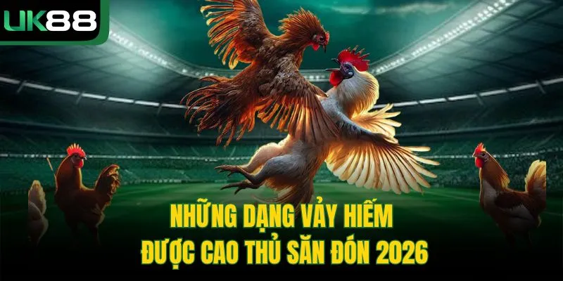 Cách Xem Vảy Gà Chọi | Bí Kíp Chọn Chiến Kê Từ Cao Thủ UK88 3 Cách Xem Vảy Gà Chọi | Bí Kíp Chọn Chiến Kê Từ Cao Thủ UK88