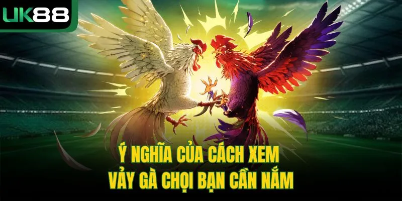 Cách Xem Vảy Gà Chọi | Bí Kíp Chọn Chiến Kê Từ Cao Thủ UK88 1 Cách Xem Vảy Gà Chọi | Bí Kíp Chọn Chiến Kê Từ Cao Thủ UK88
